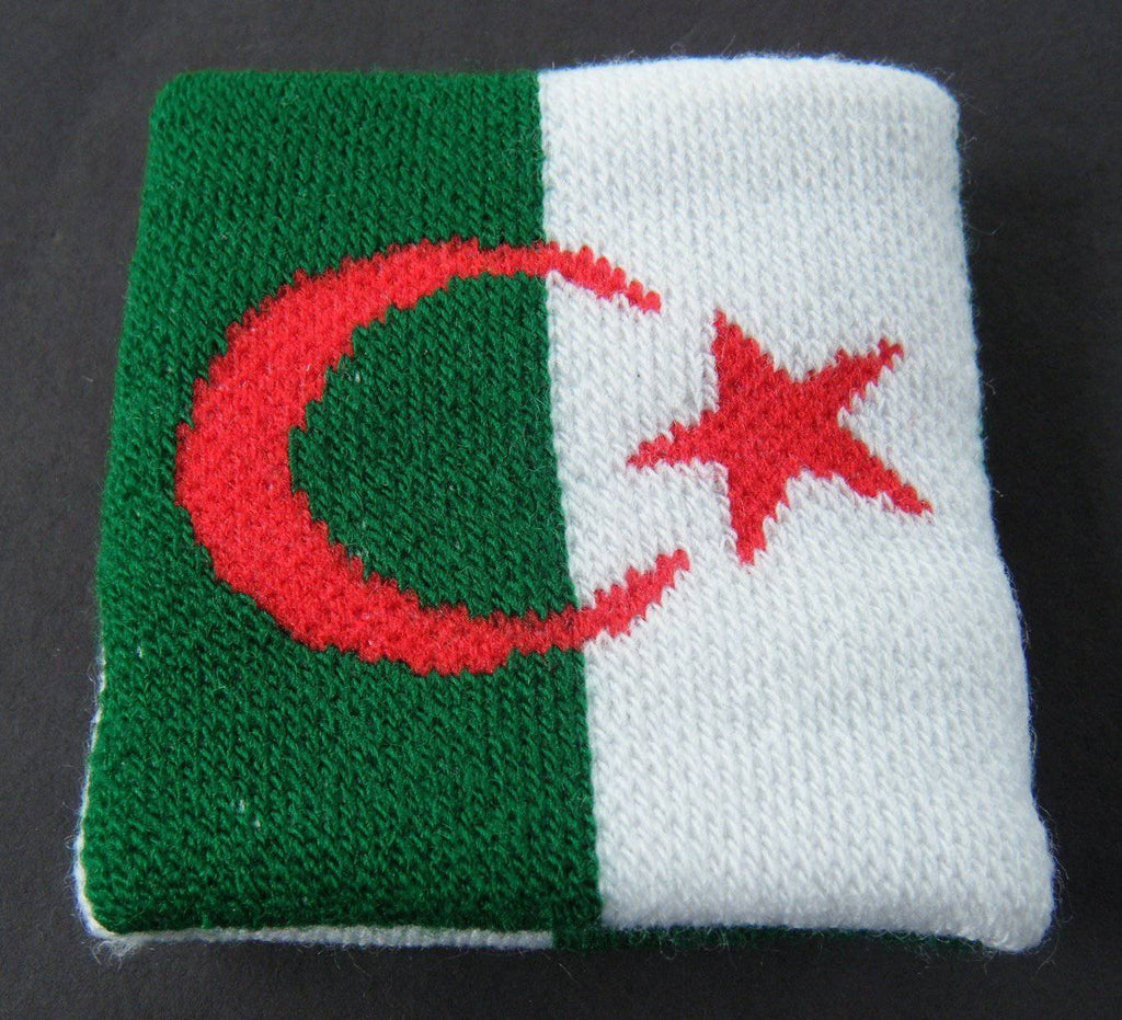 Pin's Drapeau Algérie flottant - Algérien