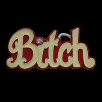 Belt Buckle Bitch Disco Party Queen Name Calling Humor Funny Girly Pop Buckles