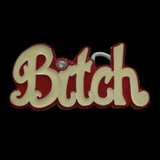 Hebilla de cinturón Bitch Disco Party Queen Name Calling Humor Funny Girly Pop Hebillas