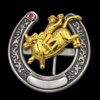 Western Cowboy Cowgirl Rodeo Horseshoe Bull Rider Belt Buckle