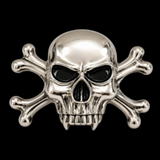 Skull Belt Buckles Jolly Roger Flag Skulls Gothic Party Crossbones Belts Buckles