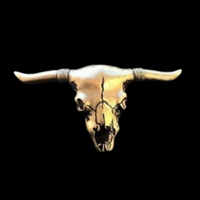 Boucles de ceinture occidentales de rodéo de crâne de taureau de Texas Longhorn