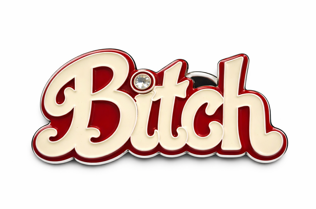 Boucle de ceinture chienne Disco fête reine nom appelant humour drôle Girly Pop boucles