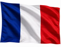 France Paris Drapeau Français Les drapeaux nationaux de la France agitant des drapeaux de pôle
