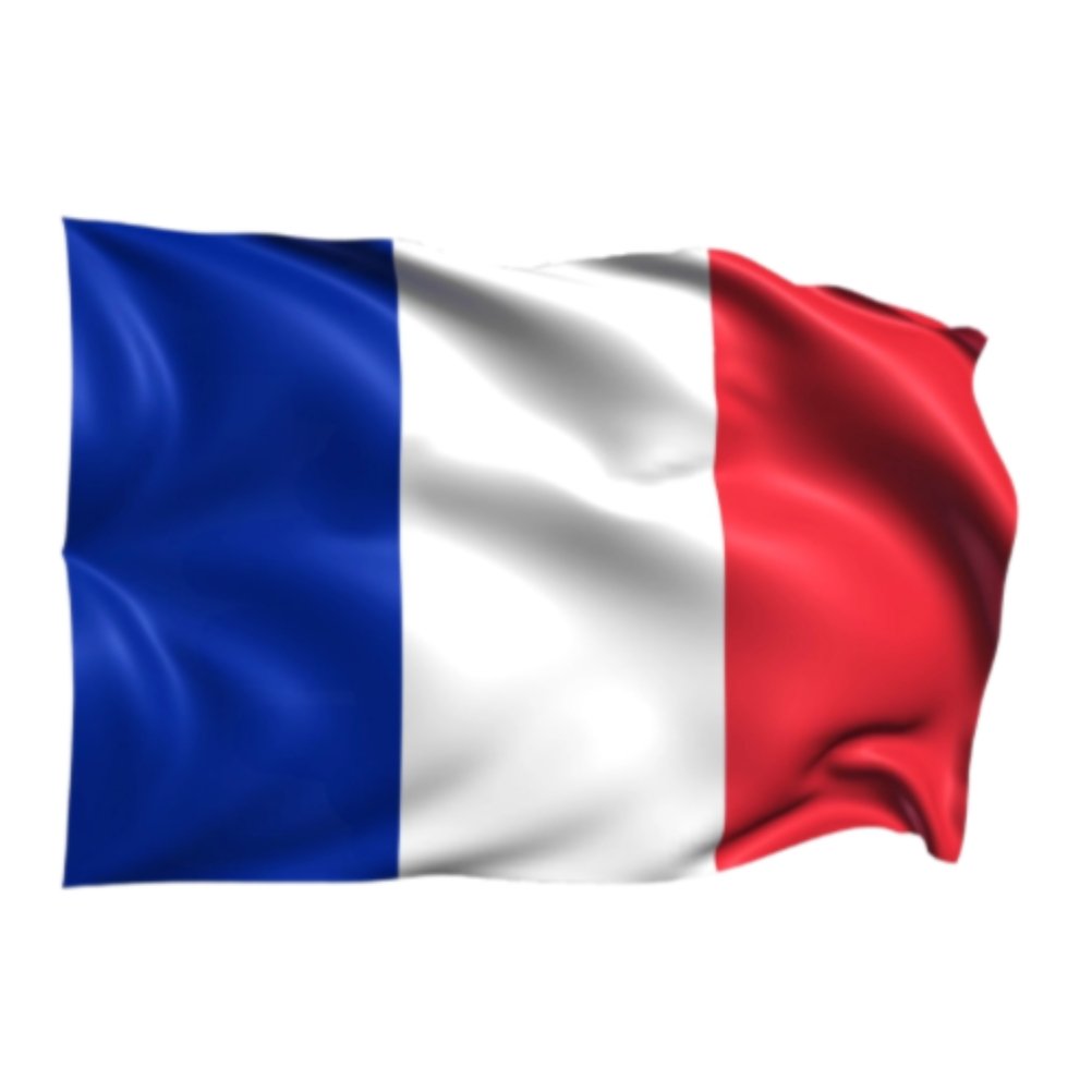 France Paris French Flag France's National Waving Pole Flags - Buckles.Biz